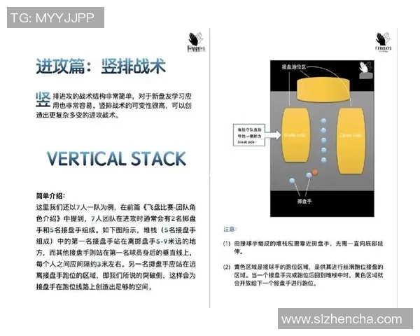 广州飞盘队中路突破战术解析与比赛表现分析