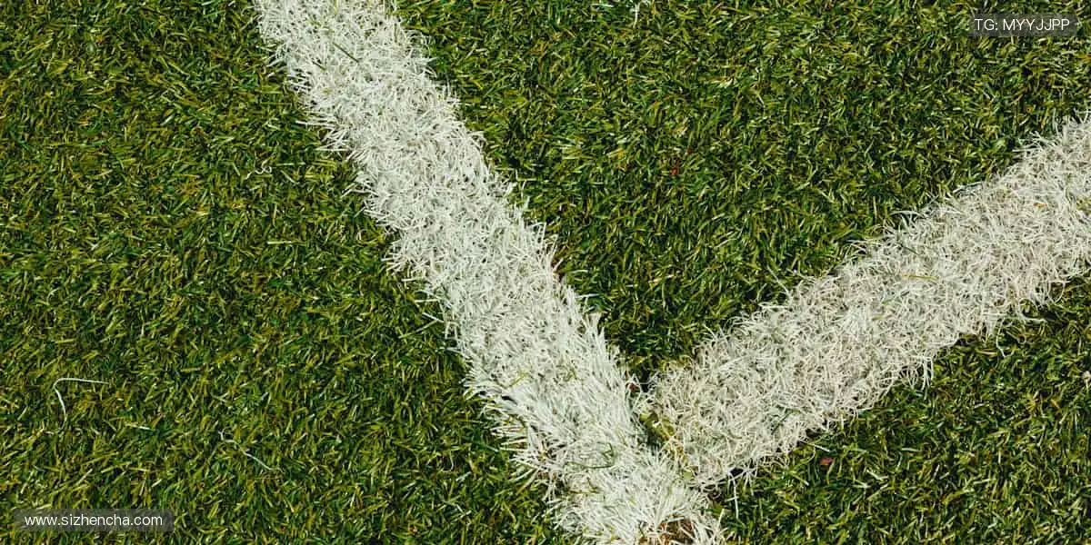 🎁 限量周边，独家珍藏，